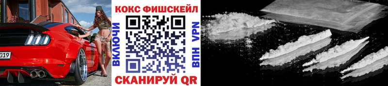 Кокаин Fish Scale  купить наркотик  Каменка 