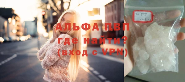 ПСИЛОЦИБИНОВЫЕ ГРИБЫ Туринск