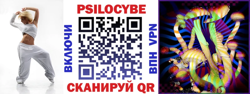 Псилоцибиновые грибы Psilocybe  Каменка 